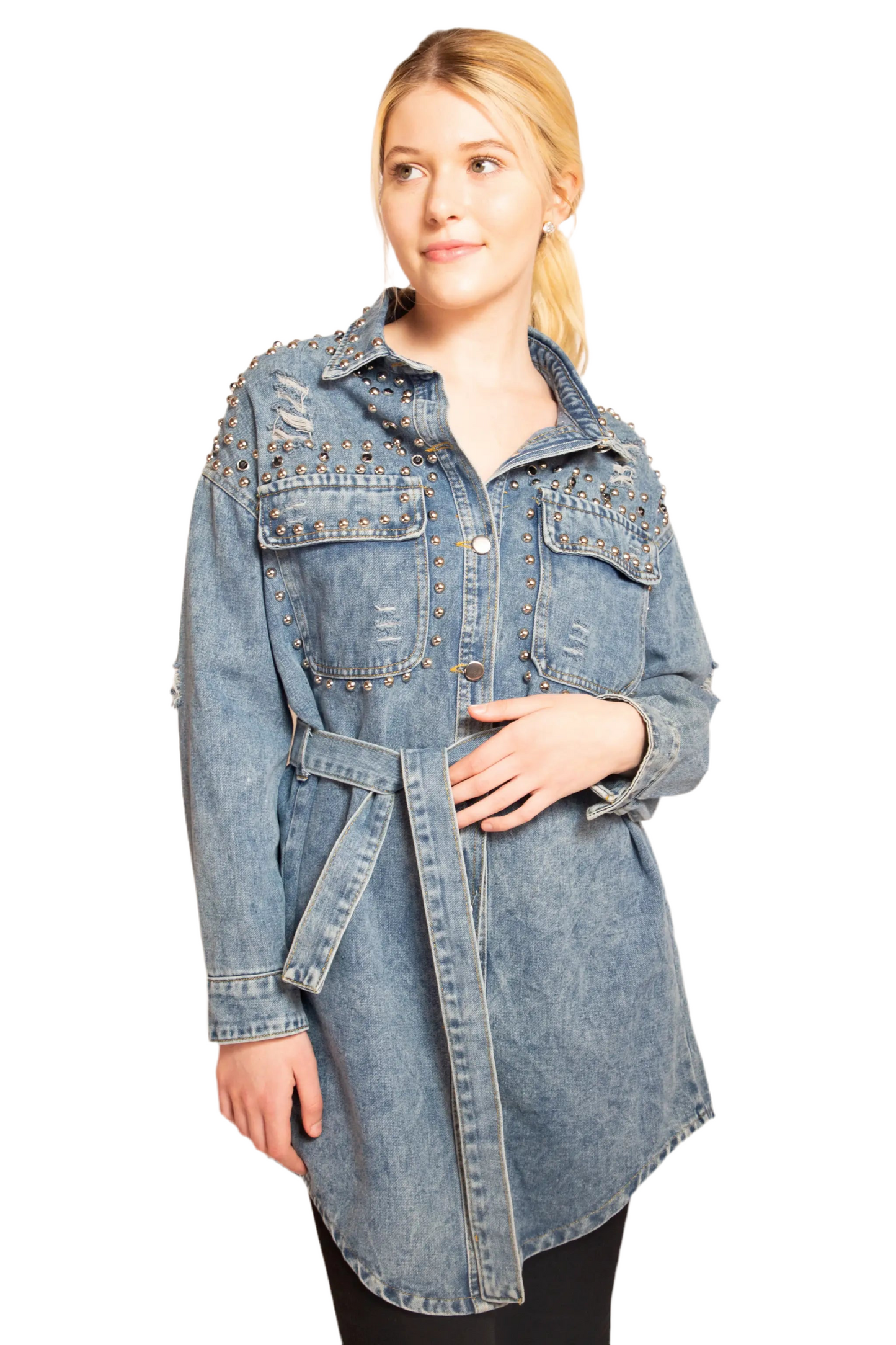 Lily Denim Dress