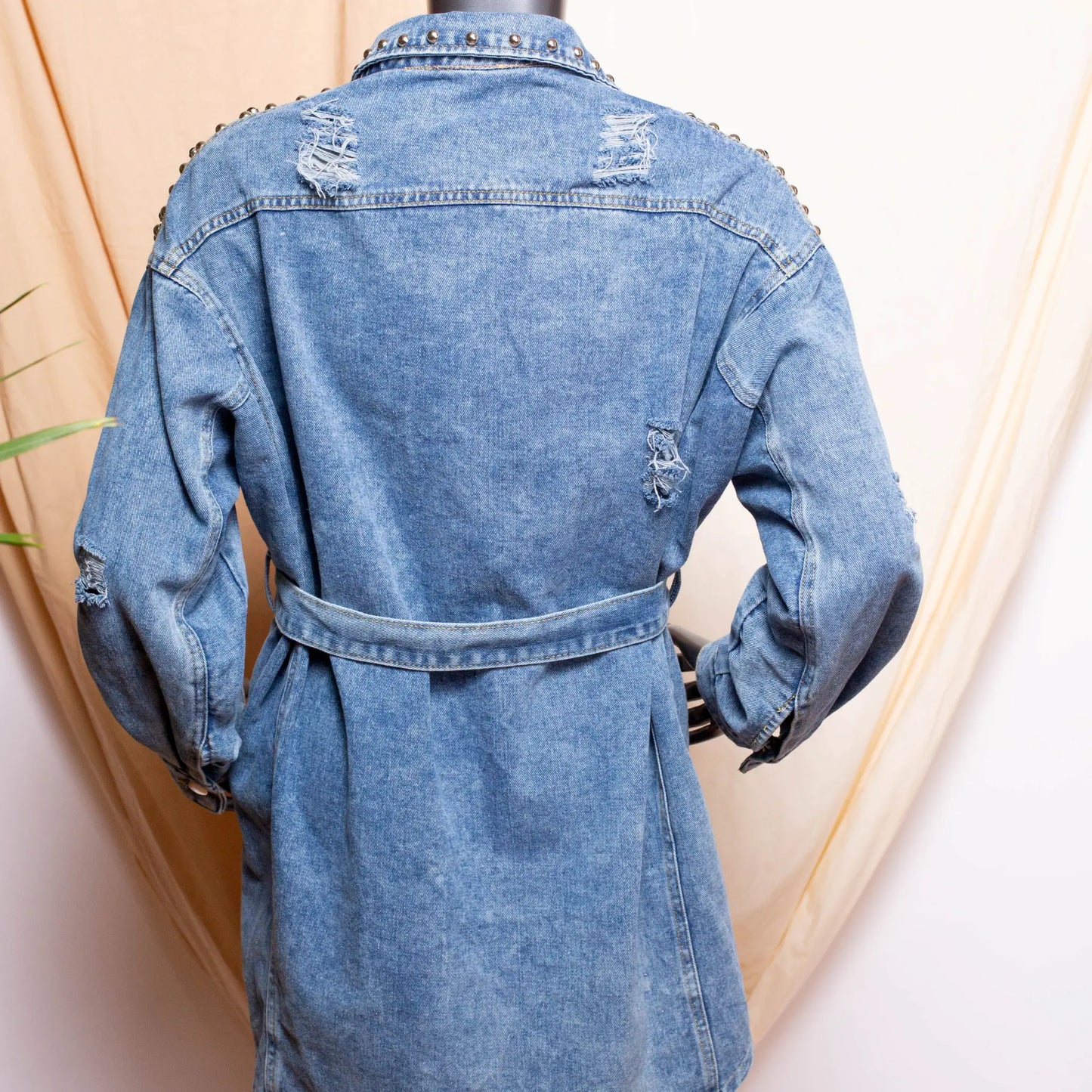 Lily Denim Dress