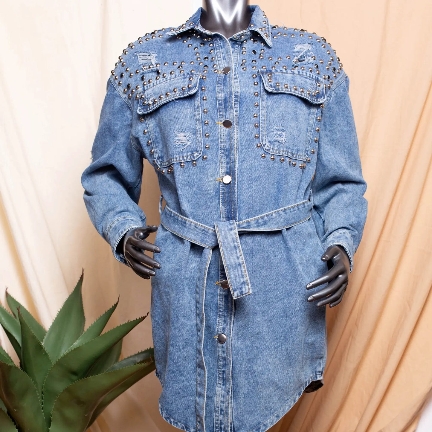 Lily Denim Dress